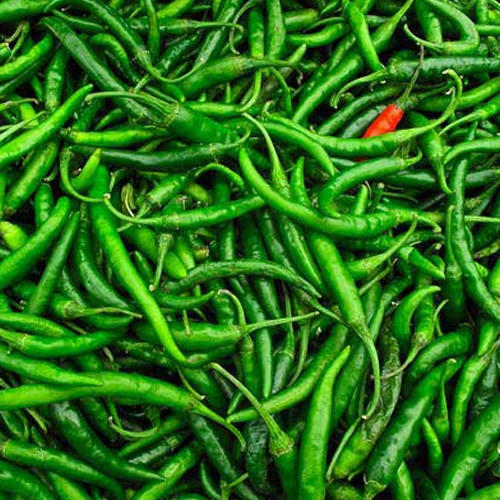 Green Chilli (Hari Mirchi)