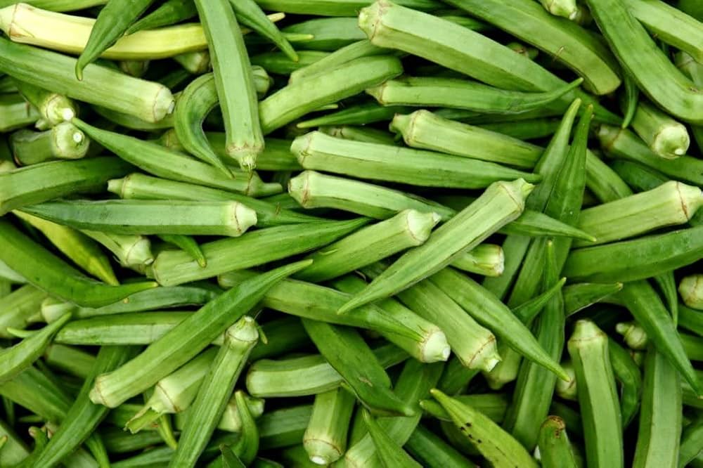 Okra(Bhendi)