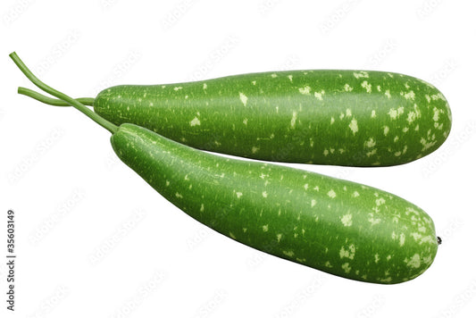 Bottle gourd long(Lau)