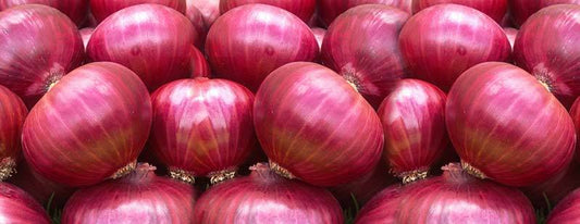 Onion(Pyaj)