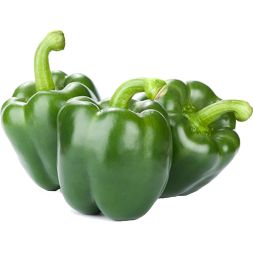 Capsicum