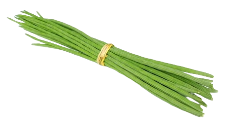 Drumstick