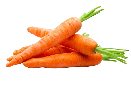 Carrot(Gajor)