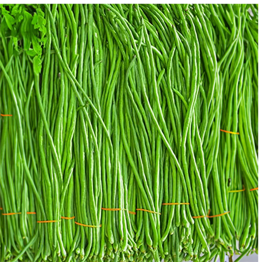 Long Bean(Borbotti)